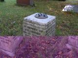 image of grave number 147175